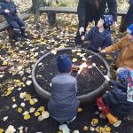 44119777_1837547029614846_934426931892322304_n